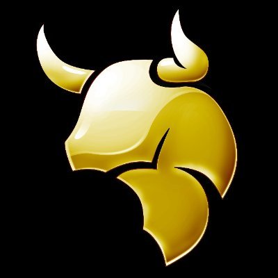 The Beef Initiative