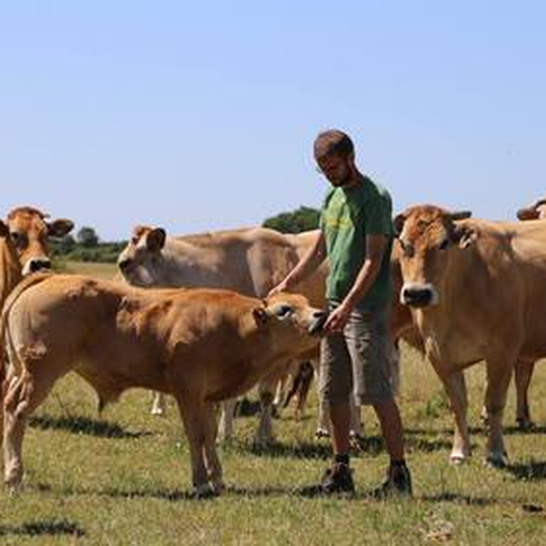 La Ferme des Vertes Prairies