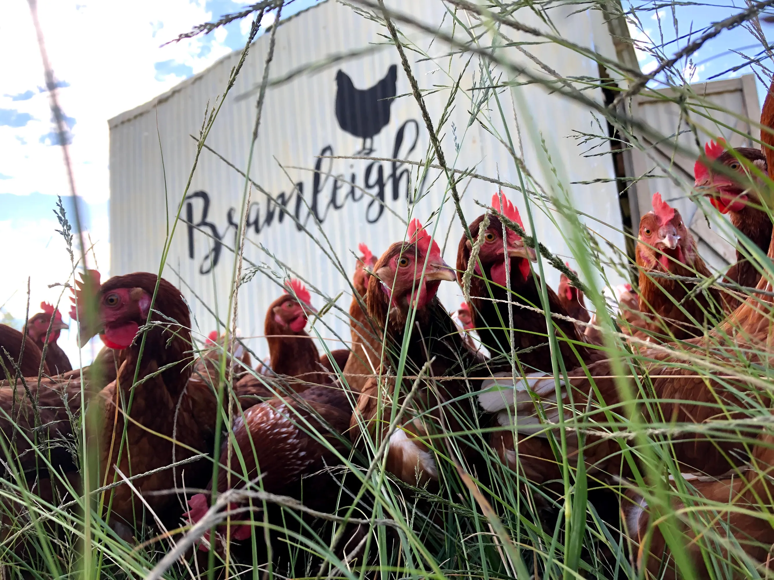 Bramleigh Farm