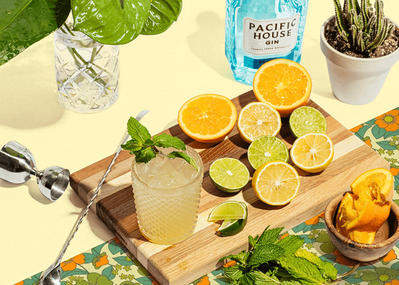 GIN Cocktail MAKING Class
