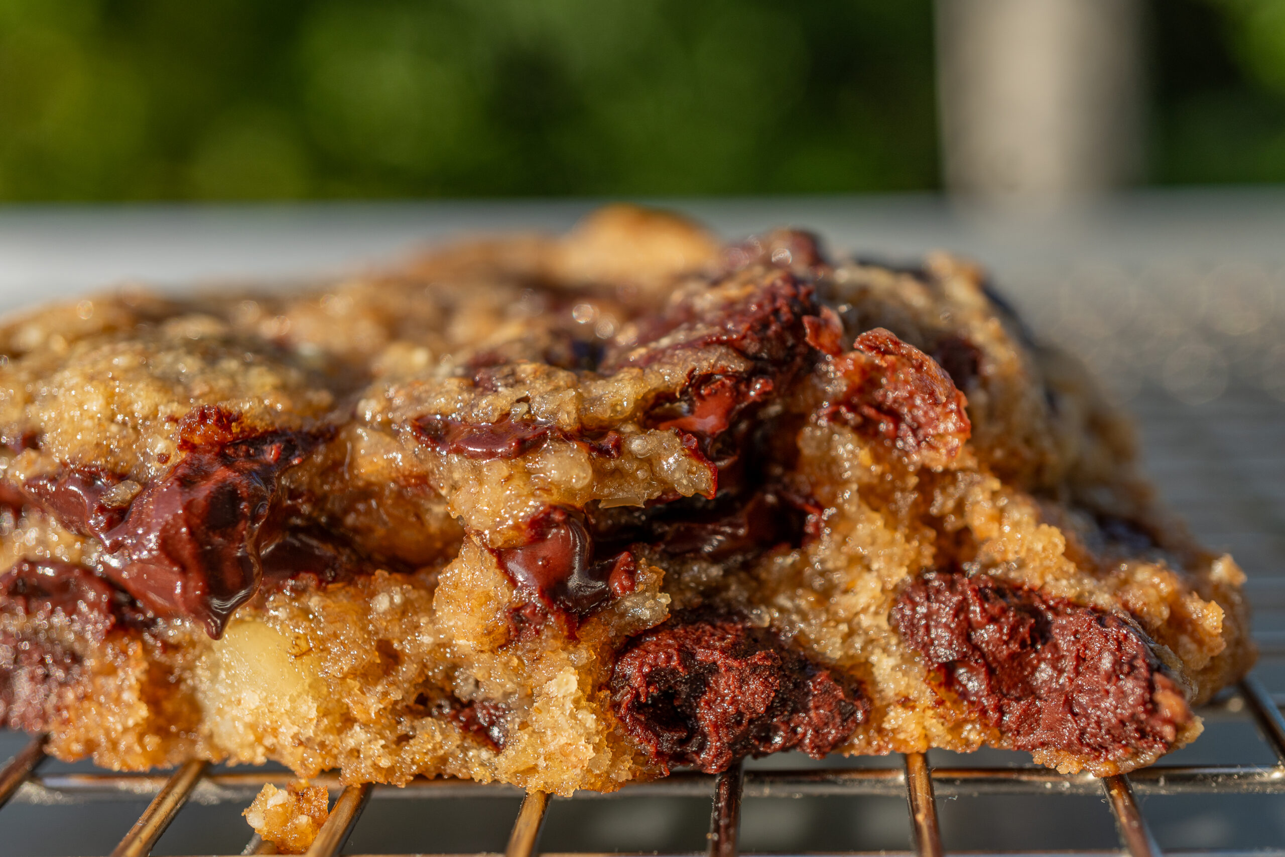 Chocolate Macadamia Cookie